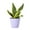 Lavender, variant on Live Variegated Snake Plant - Low Light - 4" Decorative Pot Cover - Thorsen's Greenhouse