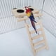 thumbnail image 2 of Parrot Feeding Cups With Clamp Holder Wood Platform Ladder Toy For Cage, 2 of 5
