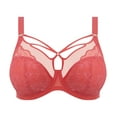 thumbnail image 3 of Elomi Brianna Plunge Underwire Bra (8080),40HH,Cayenne, 3 of 5