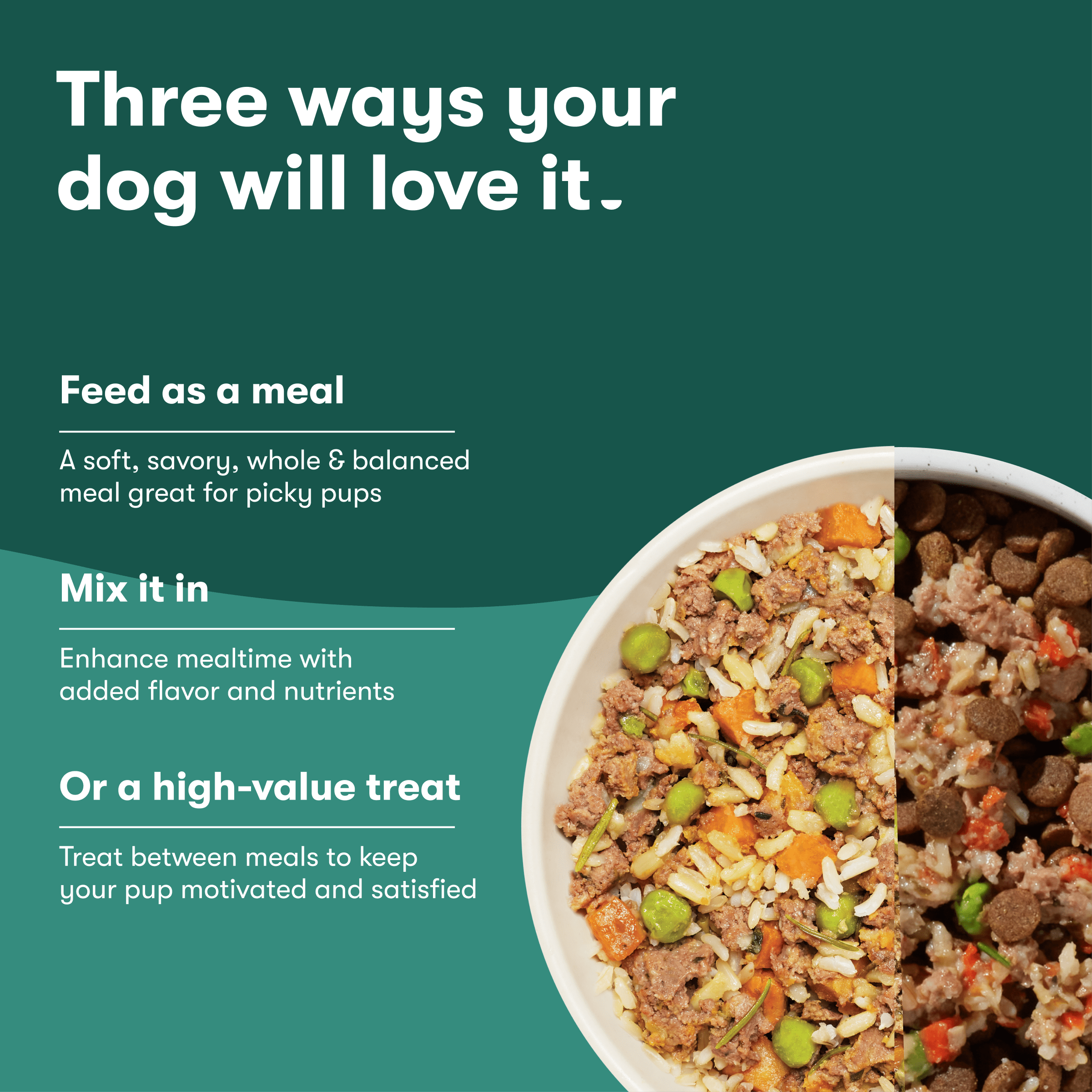 (2 pack) Jinx Homemades Chicken Recipe Wet Natural Dog Food, Whole Grain, 9 oz Pouch