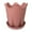 Pink, variant on oshhni Flowerpot with Base Home Decor Flower Plant Container for Floor Desktop Cafe Pink