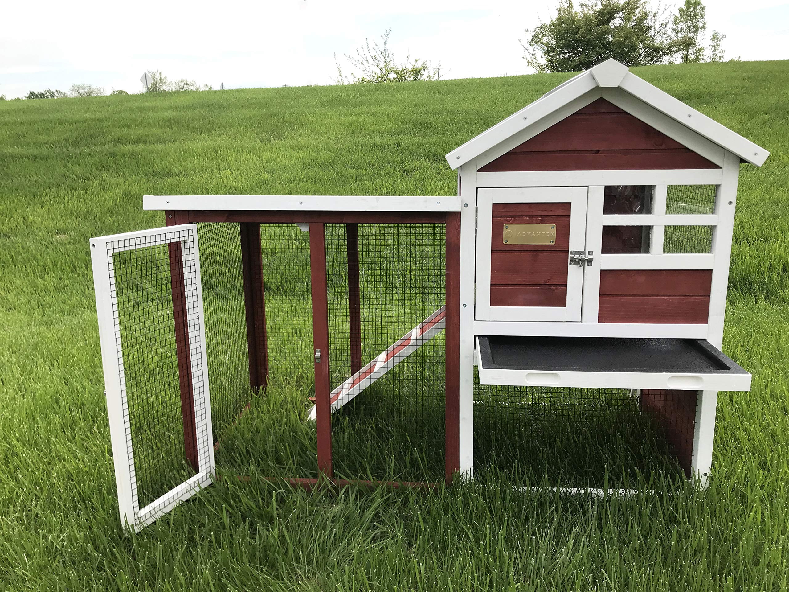 Advantek The Stilt House Rabbit Hutch