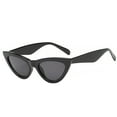 thumbnail image 1 of tredstone Lunettes de Soleil Mode Femmes Hommes Lunettes Multicolores Monture en Plastique Style de Rue Lunettes de Protection, 1 of 8