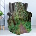 thumbnail image 4 of Forest Soft Flannel Fleece Throw Blanket, Natural Atmosphere Path into the Jungle, Cozy Plush for Indoor and Outdoor Use, 60" x 80", Green Taupe, by Ambesonne, 4 of 5