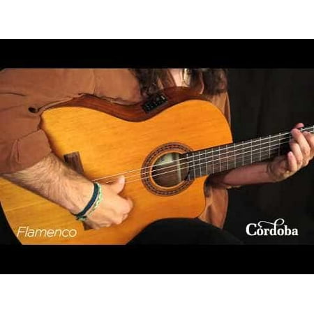 Cordoba C5-CE Nylon-String Classical Acoustic-Electric Guitar (Natural)