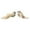 Champagne, variant on 2pcs Artificial Birds Ornaments Sculptures Foam Feather Material for Christmas Tree Party Home Decor