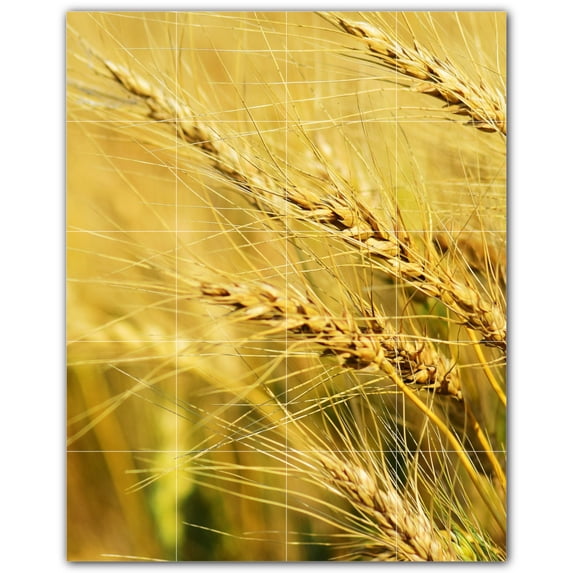 Picture-Tiles.com: Farm Ceramic Tile Wall Mural WAL500587-45L. 32"W x 40"H using (20) 8" x 8" Ceramic Tiles-Satin Finish