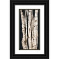 thumbnail image 1 of Murdock, Ramona 11x18 Black Ornate Wood Framed with Double Matting Museum Art Print Titled - Birch Tree I, 1 of 4