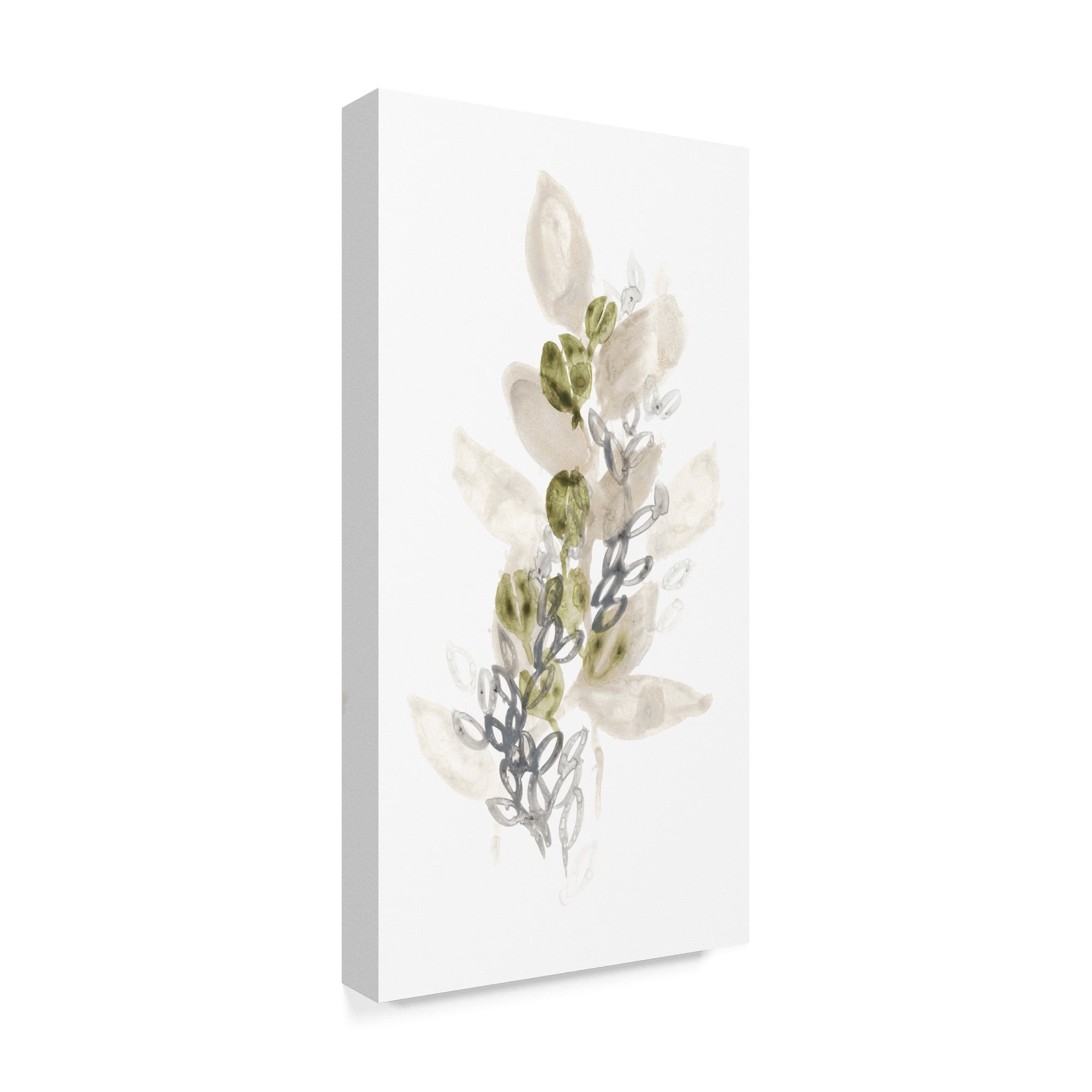 Trademark Fine Art 'Botanica Whimsy III' Canvas Art by June Erica Vess