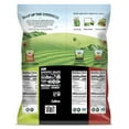 thumbnail image 4 of Harvest Snaps Variety Bag Baked Gluten Free Snacks, Veggie Crisps, 3 Flavors, 6 Bags, 5.3 oz, 4 of 7