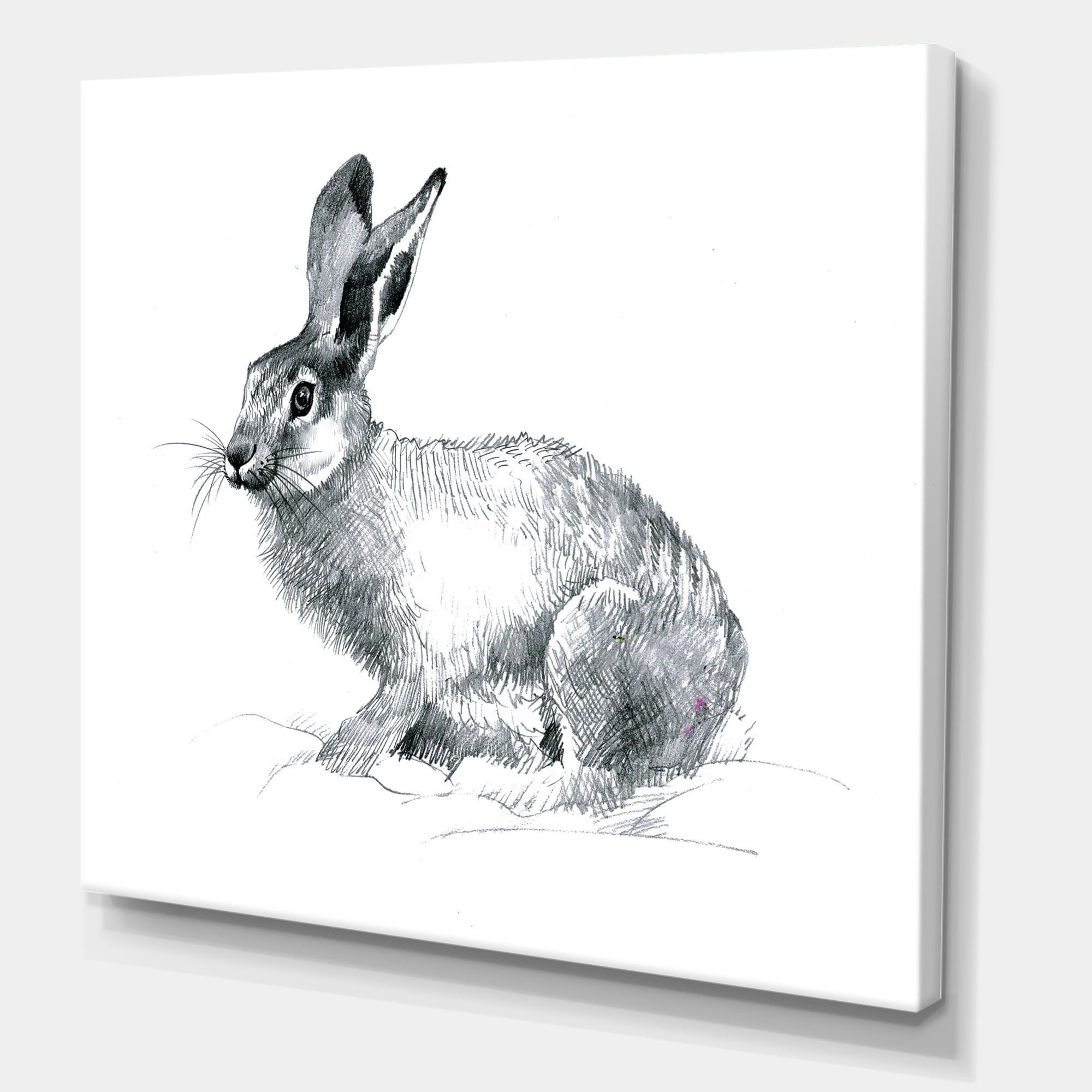 Designart ' Black and White Portrait Of Rabbit ' Farmhouse Canvas Wall Art Print
