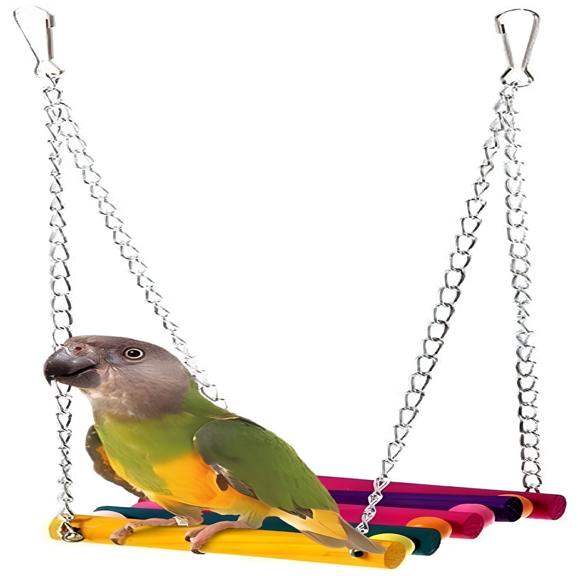 XIBUFE 2026 New for Pet Bird Parrot Parakeet Budgie Cockatiel Cage Hammock Swing Hanging Toy Accessories for Cage, Aviary, Perch, Play, Climbing, Chewing