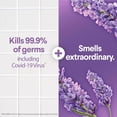 thumbnail image 2 of Disinfecting Wipes, Lavender and Jasmine, 75 Count (Package May Vary), 2 of 4