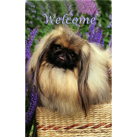 Pekingese - Best of Breed CEFK Welcome Photo House Flag