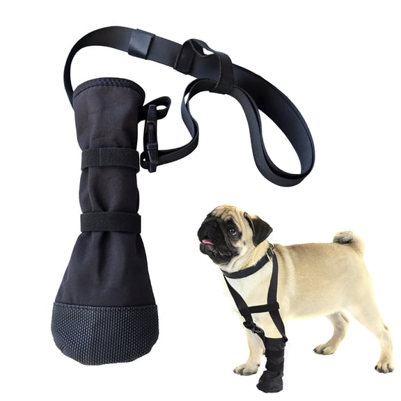 EcoNest Drop Foot Brace For Dog Corrective Dog Shoes To Safely Lift Toes For Foot Issues And Improving Walking Gait In Dogs