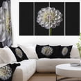 thumbnail image 1 of Fleur de Dahlia Isolée en Noir, 1 of 3