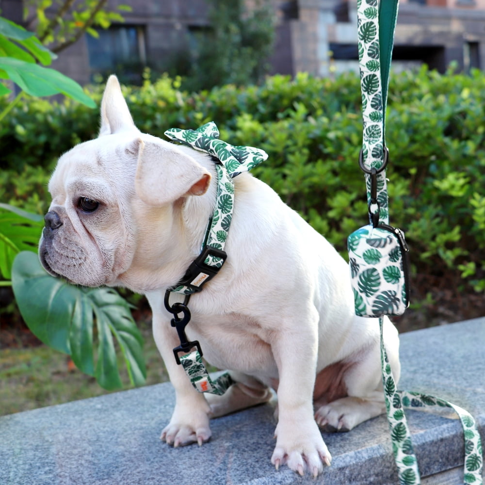 Didog Floral Cute Bowtie Dog Collar & Leash & Poop Bags Holder Adjustabale for Puppy