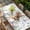 White, variant on Bunny Easter Table Cloths for 5 Foot Rectangle Tables, Spring Floral Eggs Rabbits Rustic Patio Waterproof Elastic Fitted Tablecloths, Washable Rectangular Table Cover for Camping