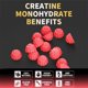 thumbnail image 4 of Gomitas de monohidrato de creatina Nutravita para hombres y mujeres: 5 g de monohidrato de creatina por porción, sin azúcar, veganas, sabor a arándano, 120 unidades, 4 of 5