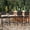 Beige, variant on Panapinka Outdoor Wicker Bar Stools Set of 4,Patio Rattan Barstools for Backyard