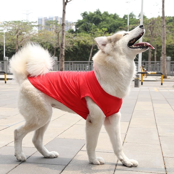 Zhuge Chaleco para perros y gatos, chaleco transpirable para mascotas, sudadera para cachorros, ropa para perros, abrigos para perros pequeños, medianos y gatos, XL, A29