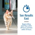 thumbnail image 4 of PETARMOR Flea & Tick Treatment for Cats over 1.5 lbs, 3 Monthly Applications, 4 of 5