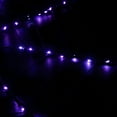 thumbnail image 4 of Northlight LED Lighted Spider Web Halloween Decoration - 31.5" - Black - Purple Lights, 4 of 8