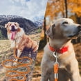 thumbnail image 6 of Long Dog Leash 30ft 50ft Reflective Training Heavy Duty Rope Dog Leash for Small Medium Large Dogs, 6 of 7