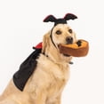 thumbnail image 3 of Batty Dracula Halloween Dog Costume Kit, 3 of 3