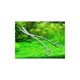 thumbnail image 5 of Tijeras para plantas, tijeras profesionales para acuarios de plantas de acero inoxidable esquí esquí Gafas de esquí, 5 of 5