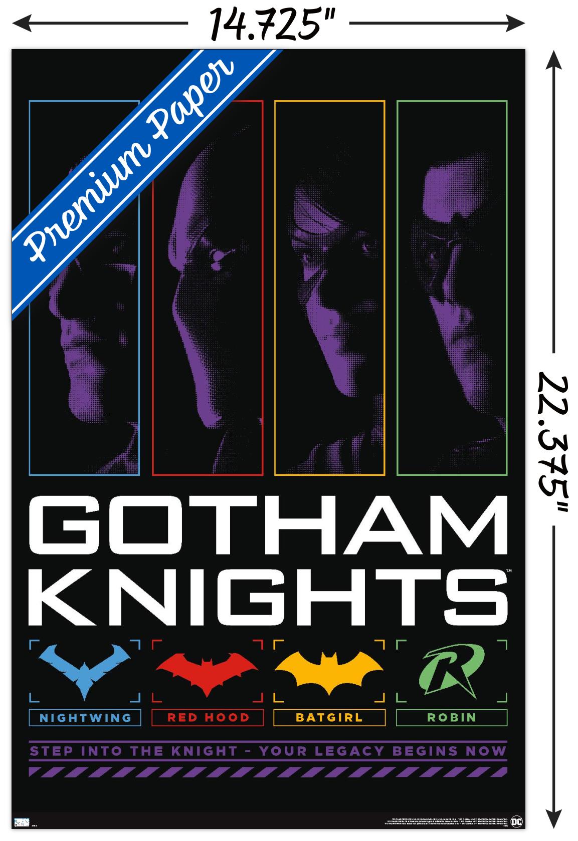 DC Comics Gotham Knights - Step In Wall Poster, 14.725" x 22.375"