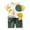 Army Green, variant on LPKRT Boys 2 Piece Matching Clothing Set Catoon Print Short Sleeve T Shirt And Shorts Children Stylish Casual Outfits Sets Bronze 12-18 Months