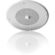 V-1020C Speaker System