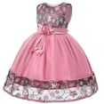 thumbnail image 2 of Girl's Embroidered Dress Girl's Evening Lace Princess Dress Flower Girl Mesh Fluffy Dress, 2 of 8
