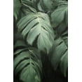 thumbnail image 2 of Kimberly, Allen 17x24 Black Ornate Wood Framed with Double Matting Museum Art Print Titled - Greenery 1, 2 of 4