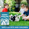 thumbnail image 3 of 8-Pack Rodent Repellent Balls Outdoor, Squirrel Repellent Garden, Outdoor Chipmunk Repellent, Peppermint Rodent Deterrent Indoor, Garden Squirrel Repellant, Squirrel Stopper for Pumpkins, 3 of 6