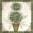 thumbnail image 3 of Shamp, Cindy 15x15 Black Modern Framed Museum Art Print Titled - Topiary IV, 3 of 5