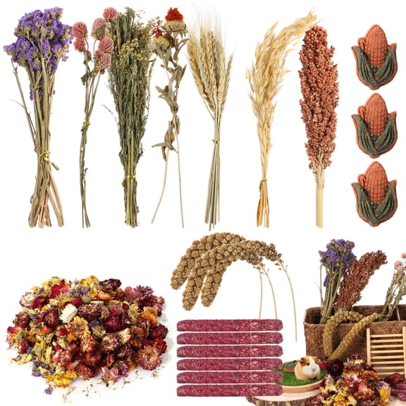 Natural Decorate Hamster Bedding, Hamster Cage Decor Chews, Grain Seed Dried Flowers Hamster Edible Grain Habitat for Dwarf Syrian Gerbils Guinea Pigs