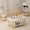 White+Golden, variant on Cvortll Coffee Table Set of 3, Rectangle Faux Marble Tabletop & 2 Tiered Side Tables, Multi-Level Storage for Living Room(White & Golden)