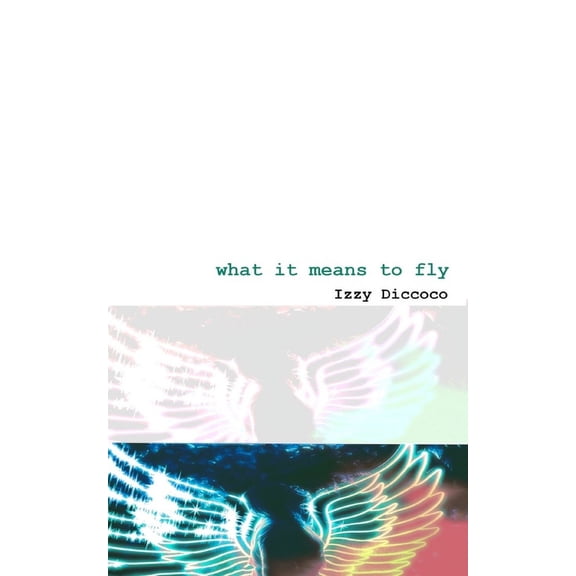 What It Means To Fly (Paperback)
