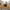 Brown - Sherpa Fleece, variant on ABORON Futon Mattress Full Size 3.5" Thick Japanese Floor Mattress Folding Guest Mattress Protable Roll up Mattress Soft Memory Foam Tatami Mat Sleeping Pad for Bedroom Camping Tent