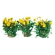 thumbnail image 2 of Miniatura de flores, 3 piezas, modelo estático, racimo de flores para dioramas, diseño de tren Flor de Luna, 2 of 8