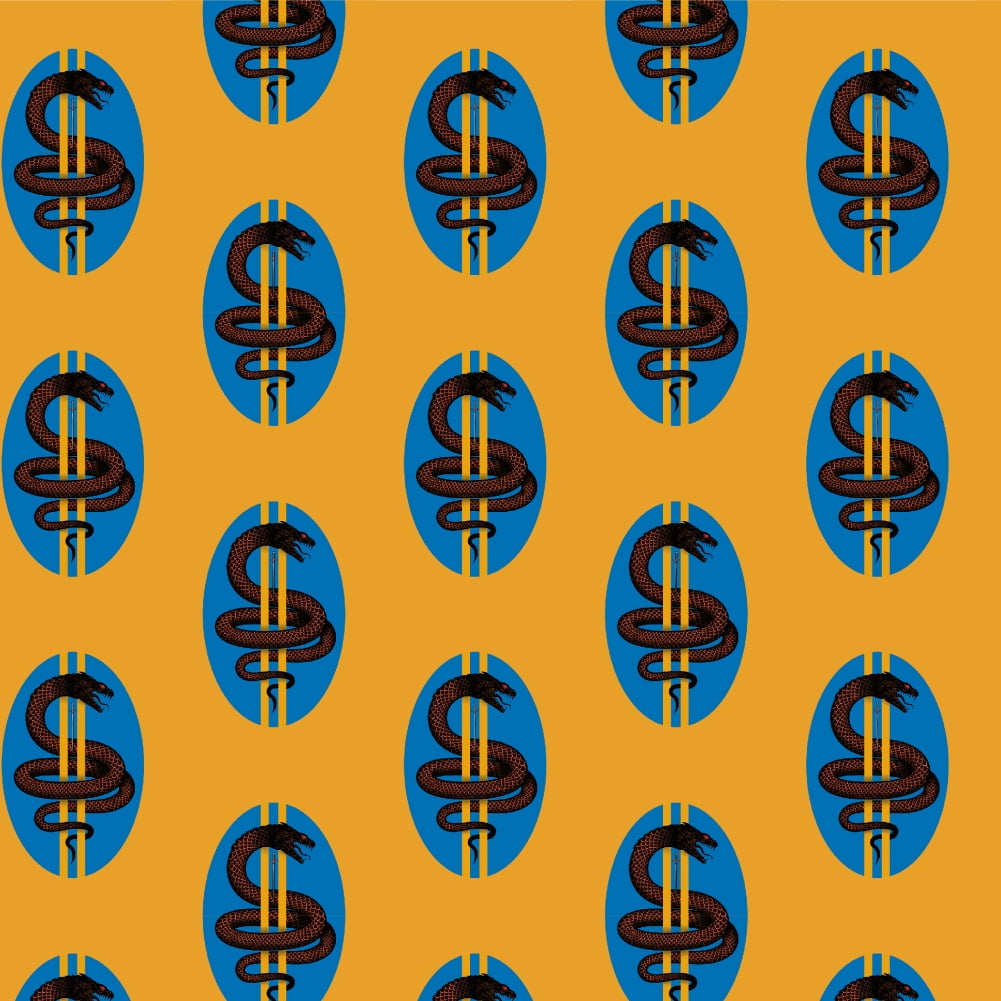 Harry Potter Basilisk Premium Roll Gift Wrap Wrapping Paper