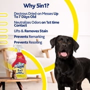 Resolve Pet Specialist Urine Destroyer Carpet Cleaner Spray – Urine Eliminator for Pet Stains & Odors Up to 7 Days Old, 22oz