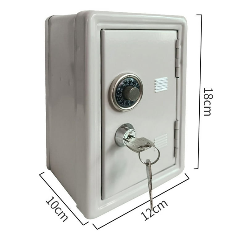 Secure 2024 piggy bank