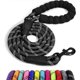 thumbnail image 1 of Chien Corde, Laisse Pour Chien En Nylon Avec Poigne Rembourre Douce Et Des Fils, 1 of 5