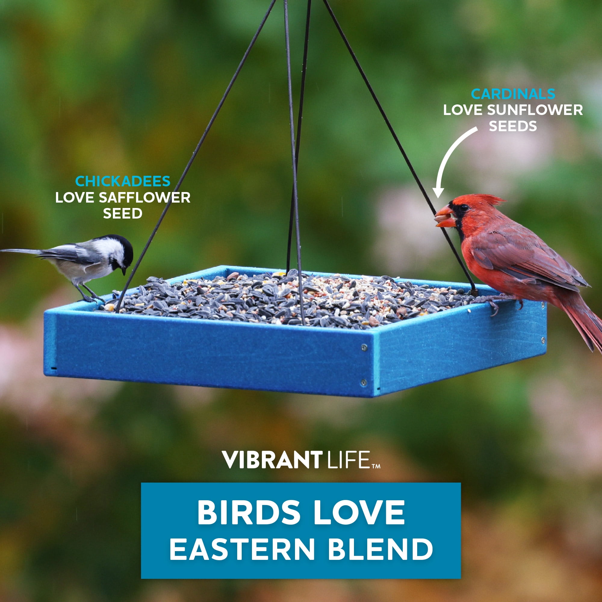 Vibrant Life 5 lb Eastern Blend Wild Bird Seed Bag