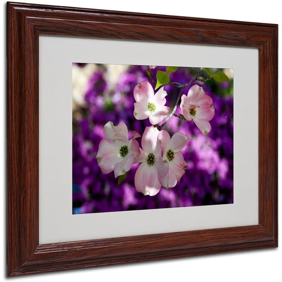 Trademark Fine Art "Pink Dogwood" by Kurt Shaffer, Wood Frame