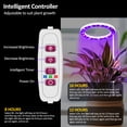 thumbnail image 4 of TFixol Adjustable USB-Powered LED Plant Grow Light with Full Spectrum, 20 Beads, Timer & 5 Brightness Levels for Succulents [Sunlight Simulation, Dual Head], 4 of 6