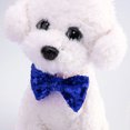 thumbnail image 2 of Raindrops Dog Birthday Costumes Party Hats for Dogs 1 Set Blue Color for Fun Photo Shoots, 2 of 8